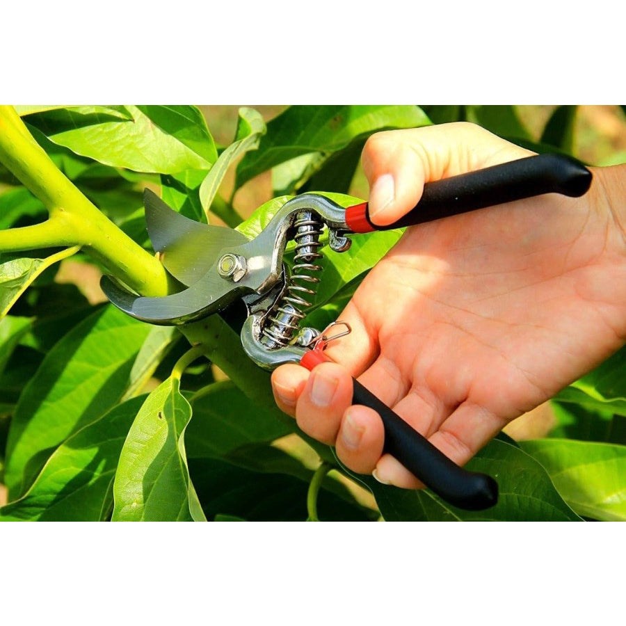 Gunting Dahan Dan Ranting 8 Inch - Alat Pemotong Tangkai Pohon Tanaman Taman Perlengkapan Berkebun Pruning Shears 8" Super Tajam